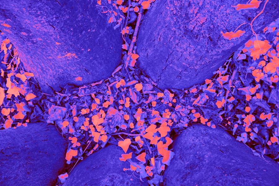 melanoma clinical trials