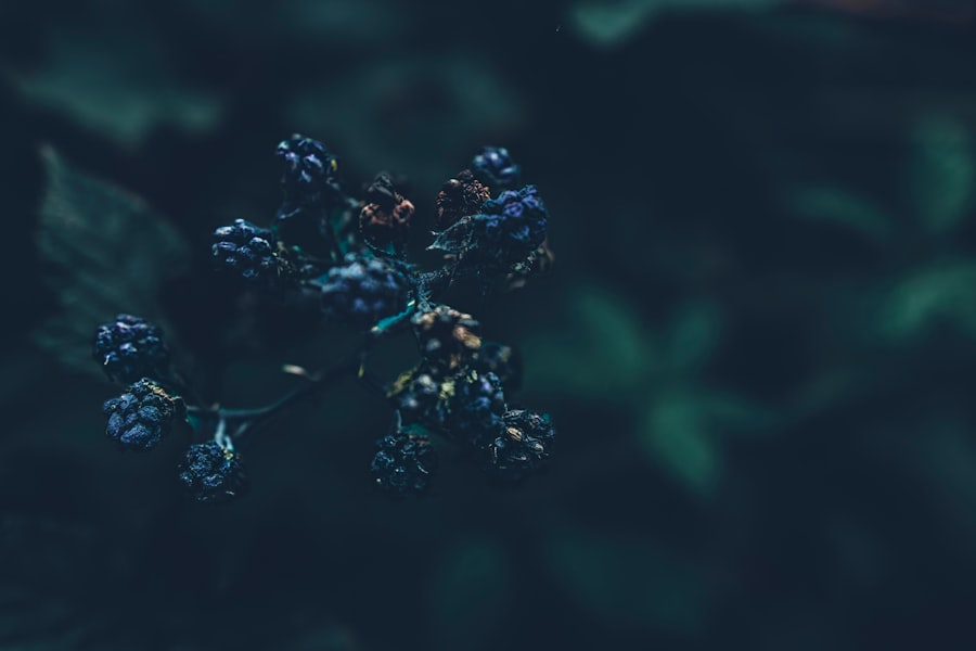 decentralized clinical trial company