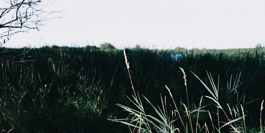 evidence-based medicine