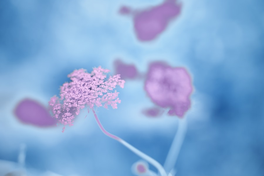 ovarian cancer trials