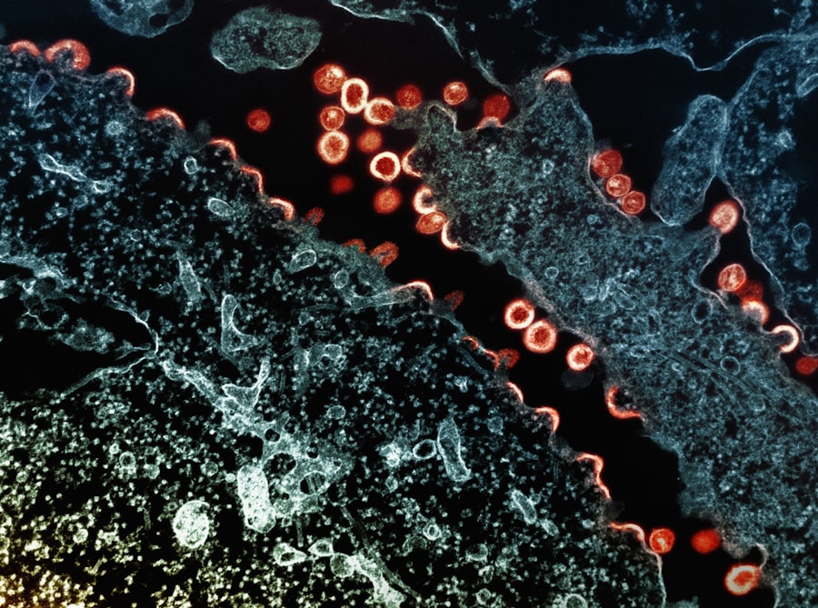 Photo covid antibody studies
