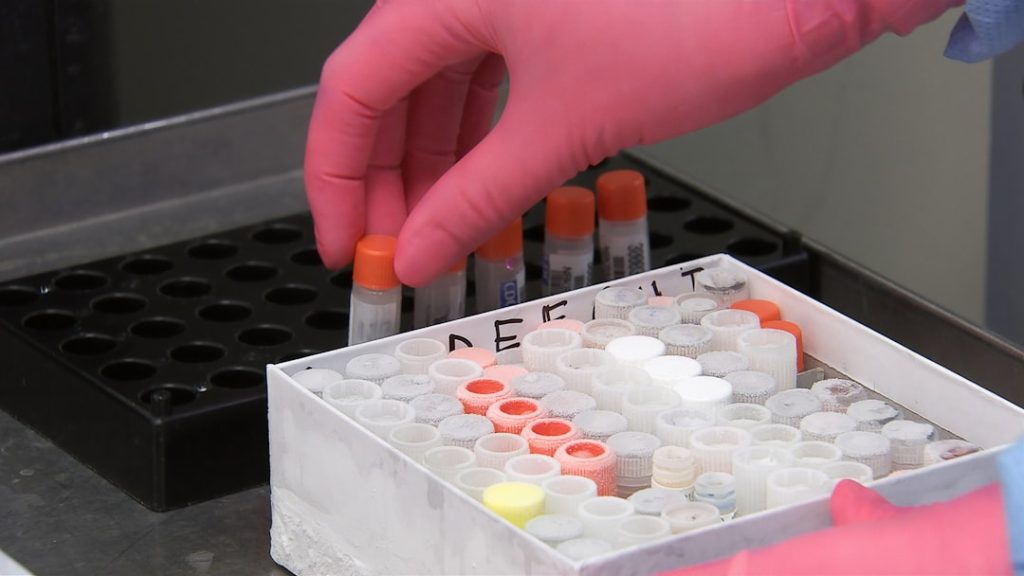 Photo randomized controlled trial