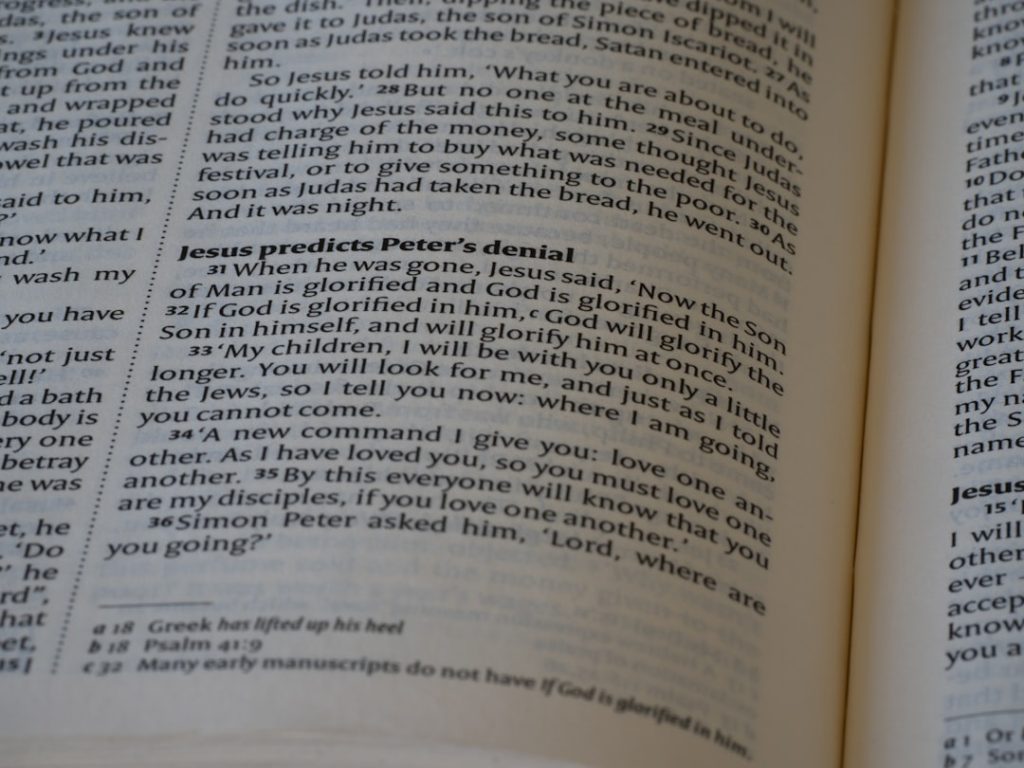 Photo preclinical toxicology