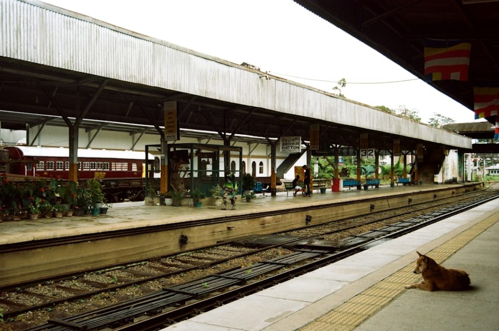 Photo platform trials