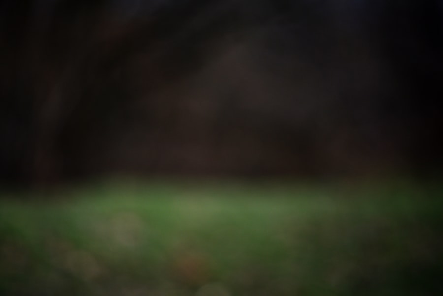 Photo paloma 3 trial