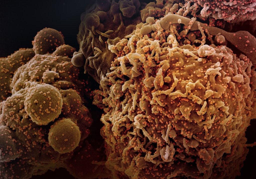 Photo clinical cancer research impact factor