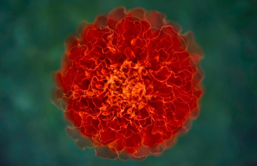 Photo cancer research impact factor