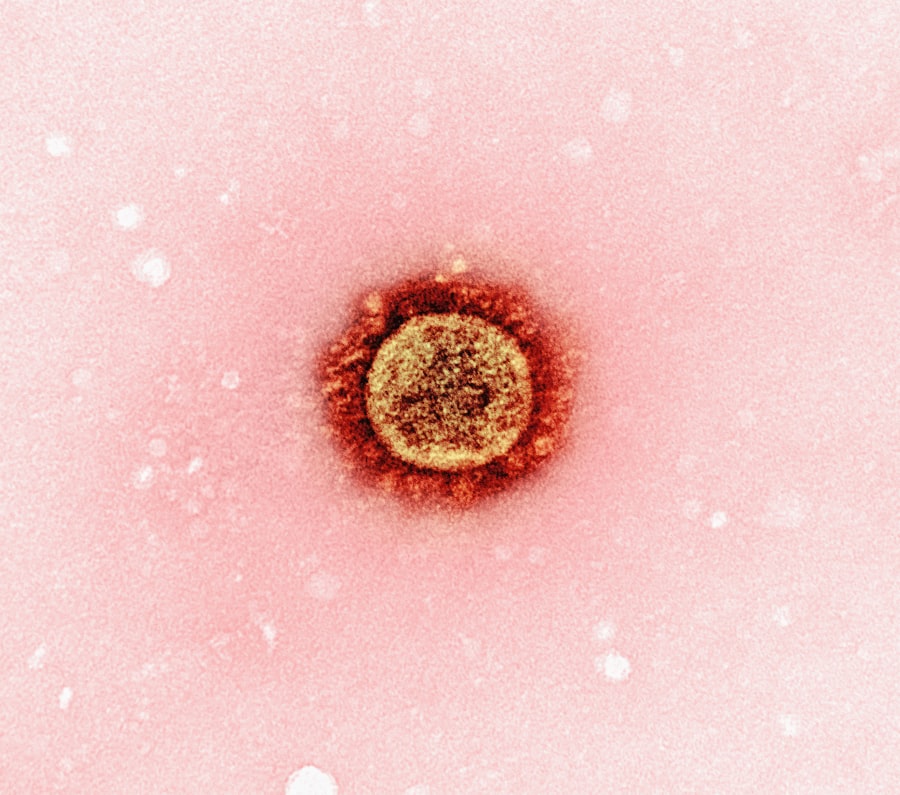Photo clinical trials herpes