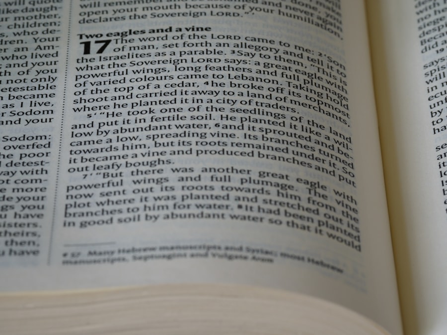 Photo medical terminology