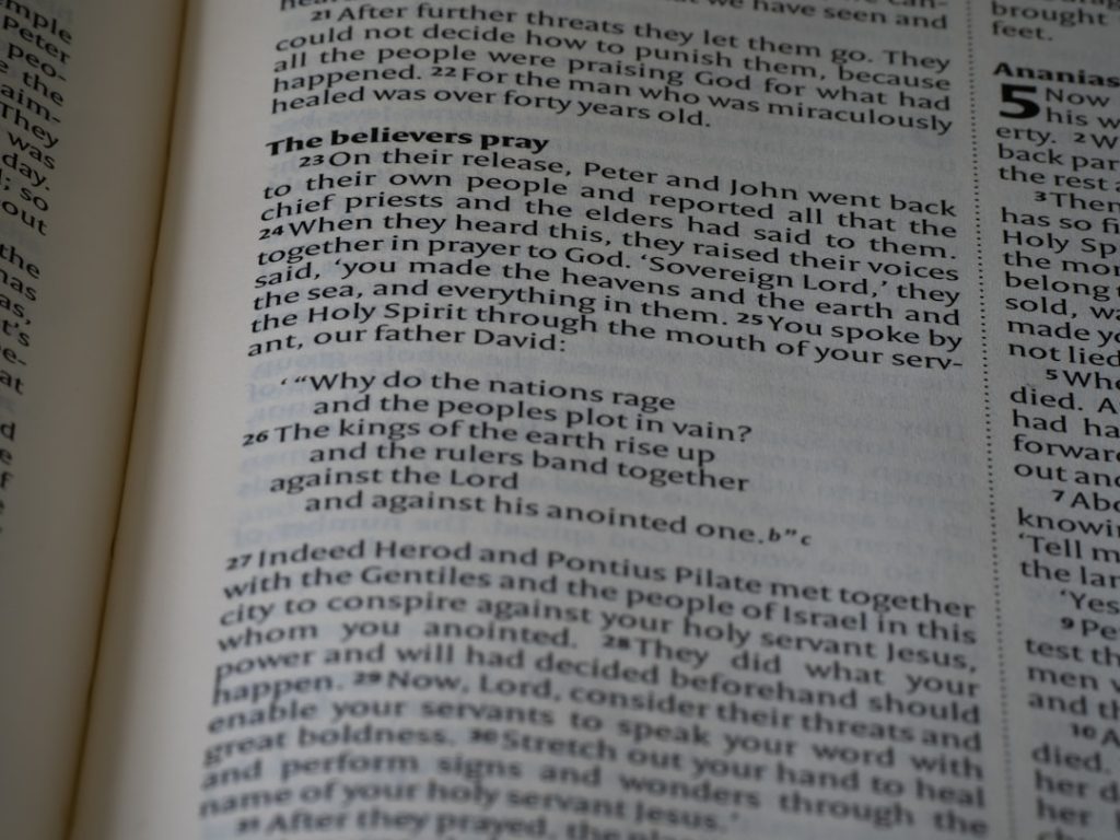 Photo medical terminology