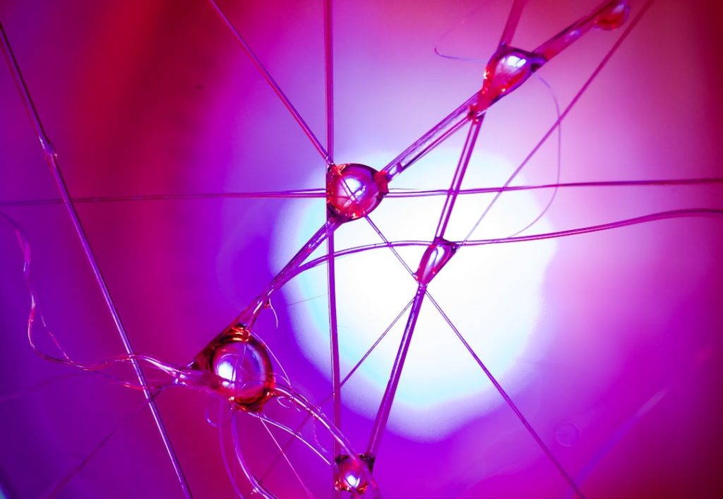 Photo clinical trials network