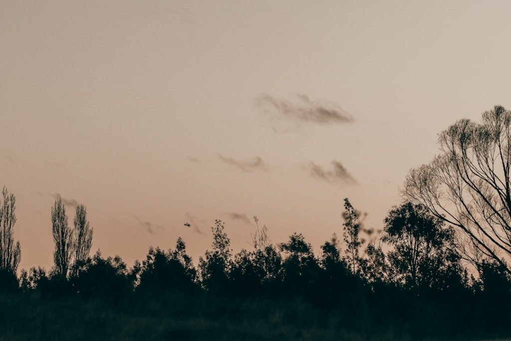 Photo evidence-based medicine