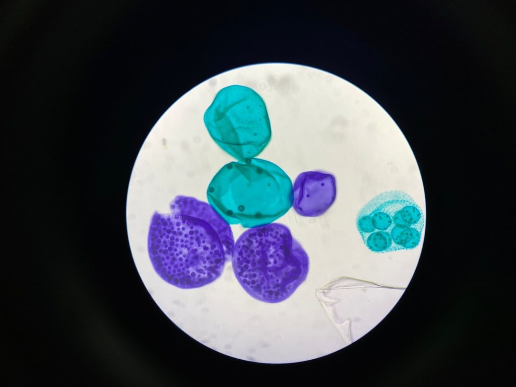 Photo cytology
