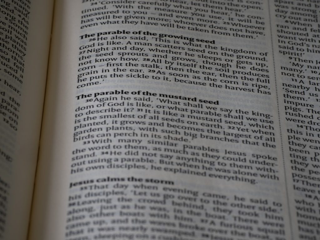 Photo medical terminology