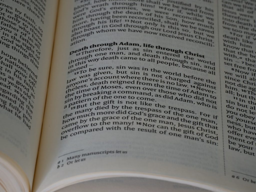 Photo clinical study definition