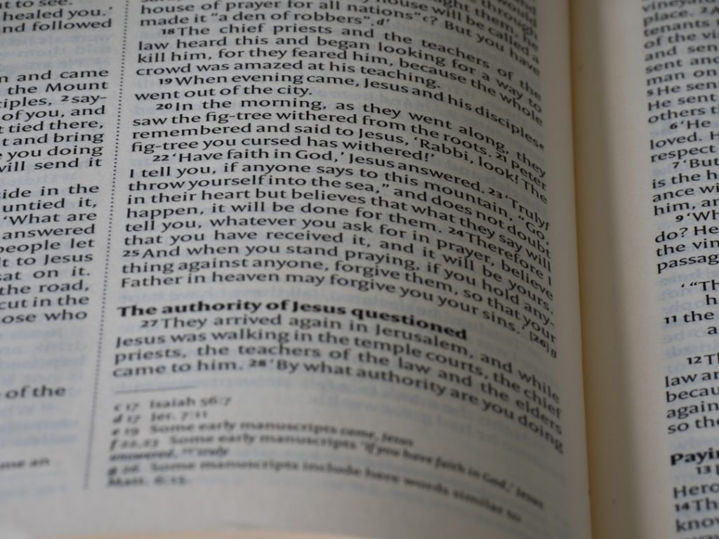 Photo medical terminology